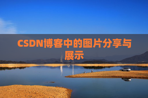 CSDN博客中的图片分享与展示